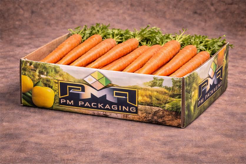 Custom SFL Structural Formats