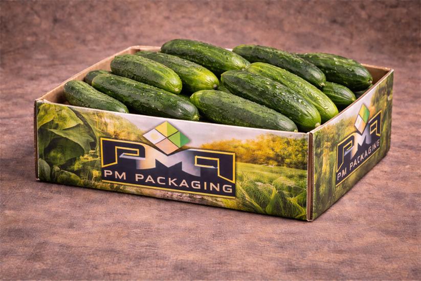 Custom Offset Print Design