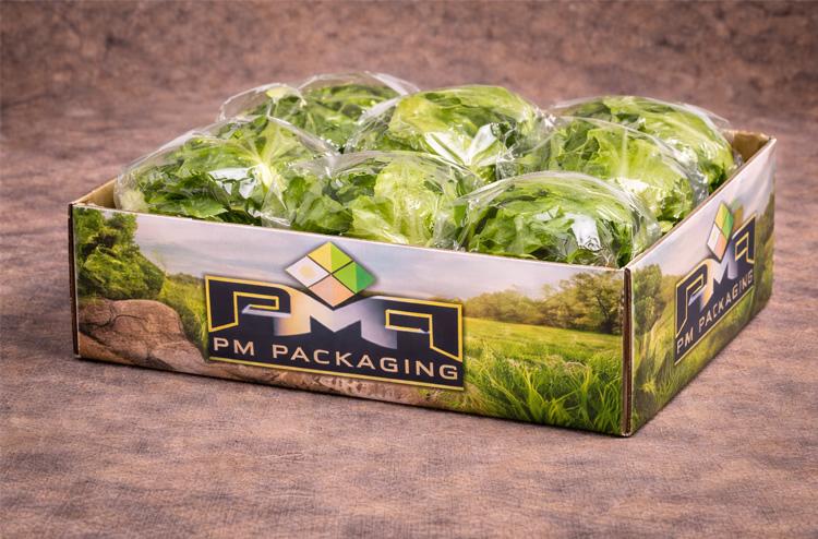 Offset Printing Quality in Agriculture