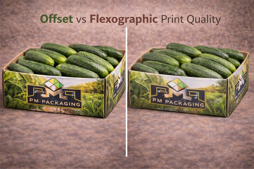 Offset vs Flexographic Print Quality